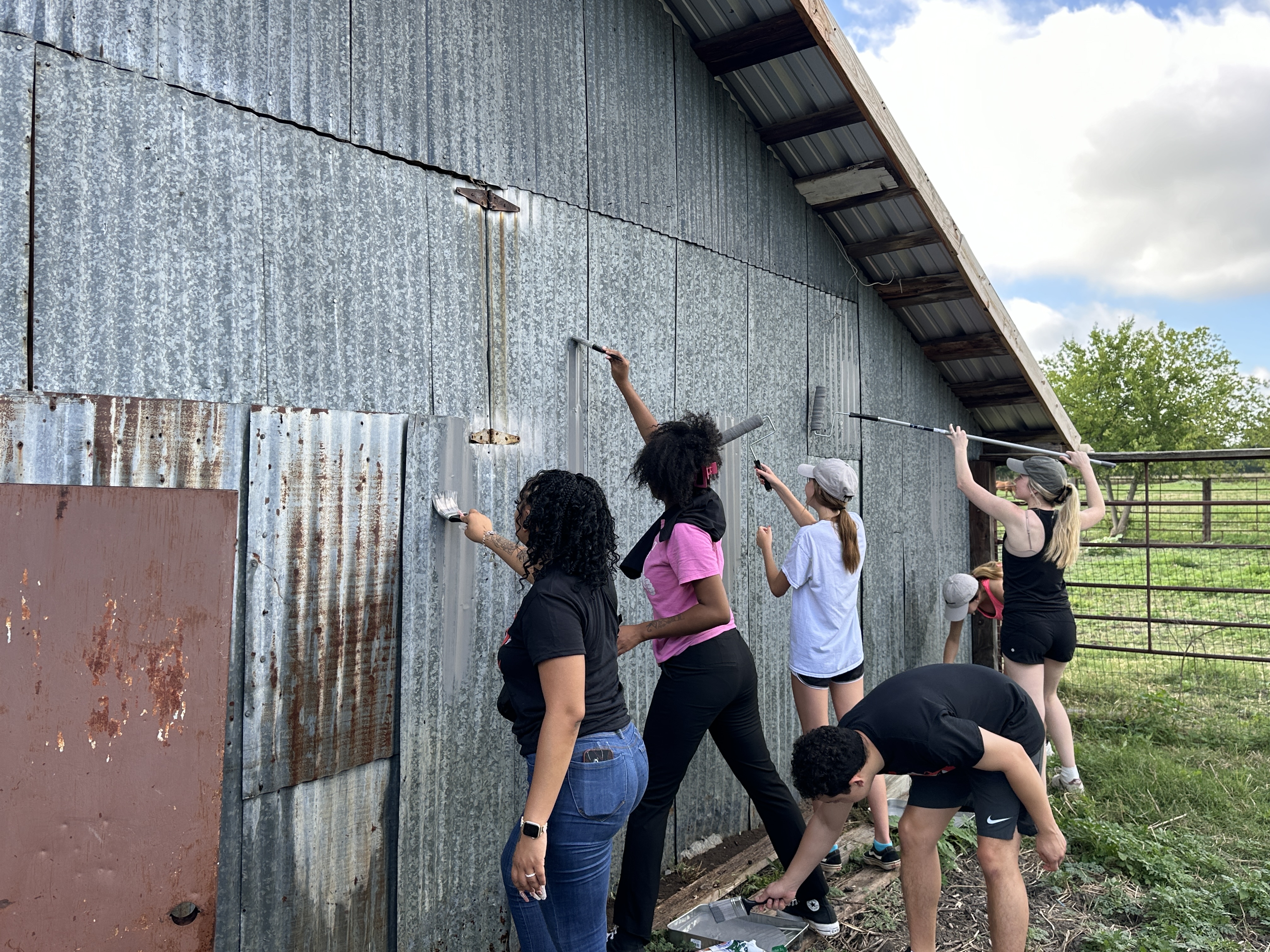 Painting on Day of Action